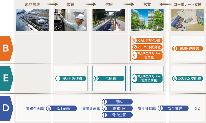 職種別担当分野