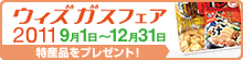 �E�B�Y�K�X�t�F�A�@9��1��(��)�`12��31��(�y)