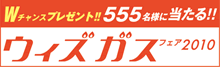 �E�B�Y�K�X�t�F�A2010
