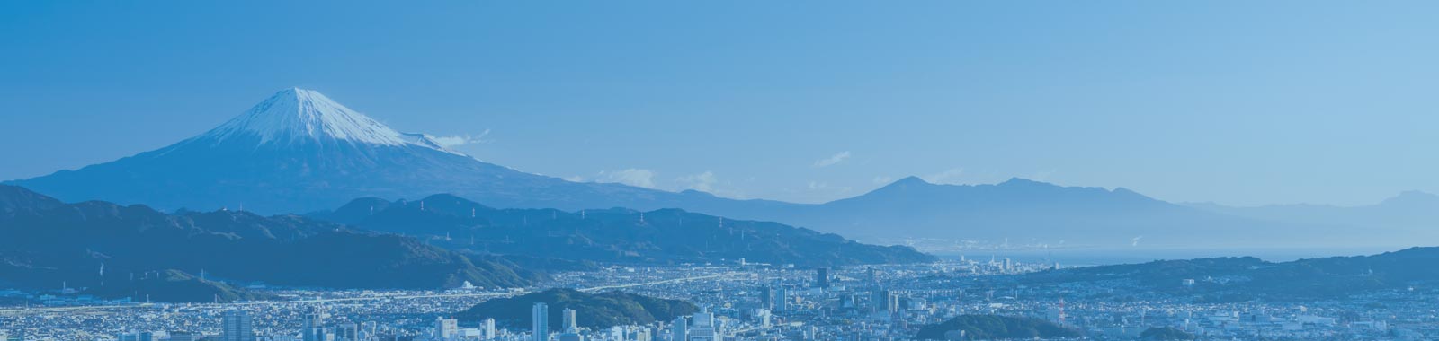基本方針・推進体制