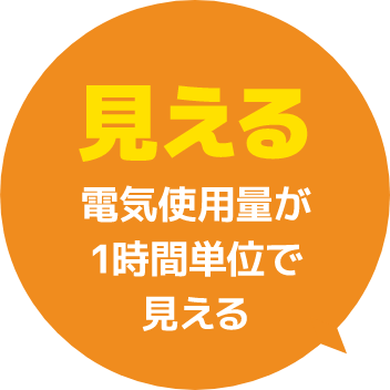 見える 電気使用量が1時間単位で見える