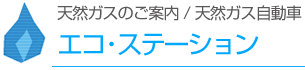 エコ・ステーション