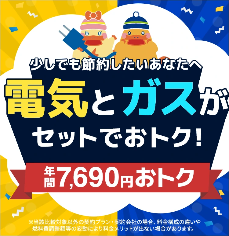 電気とガスがセットでおトク！