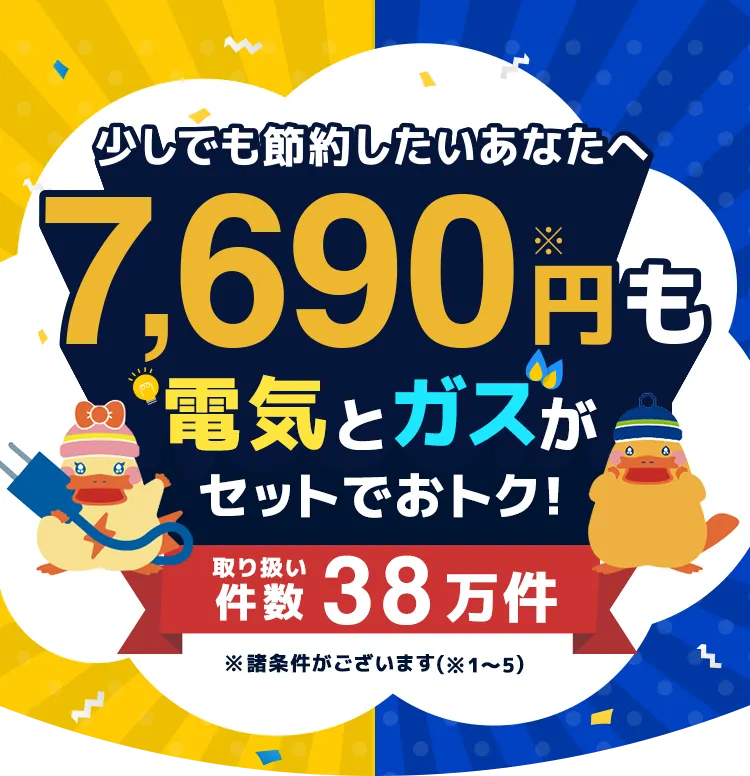 少しでも節約したいあなたへ7,690円※も電気とガスがセットでおトク