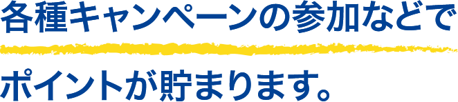 各種キャンペーンの参加などでポイントが貯まります。